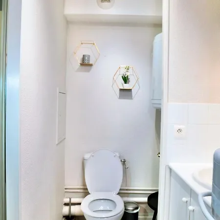 Le Cocon 22m2 公寓